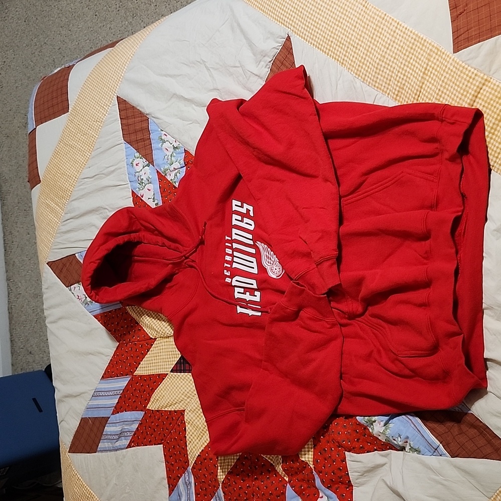 Vintage 00s Detroit Red Wings Hockey Hoodie